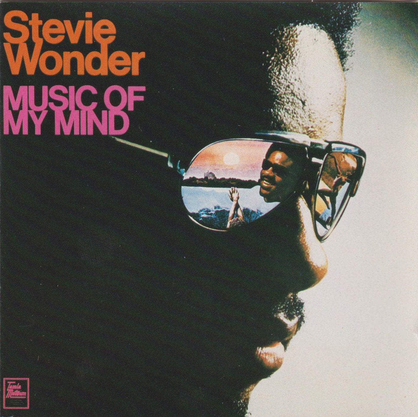 STEVIE WONDER - MUSIC ON MY MIND Music