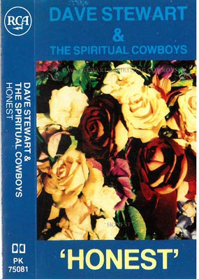 Dave Stewart and the Spiritual cowboys cd