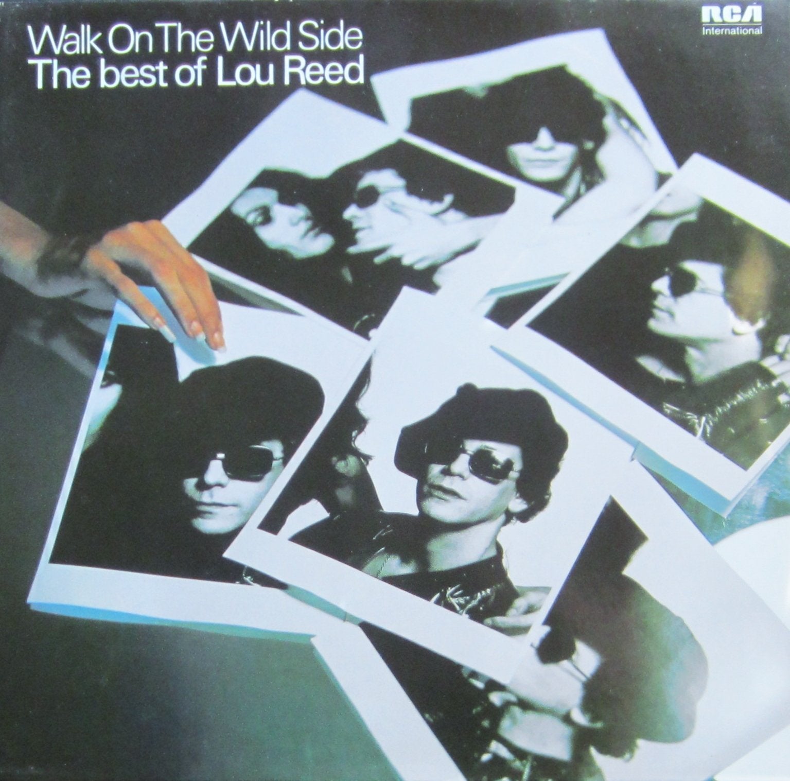 Walk on the wild side-The best of Rock