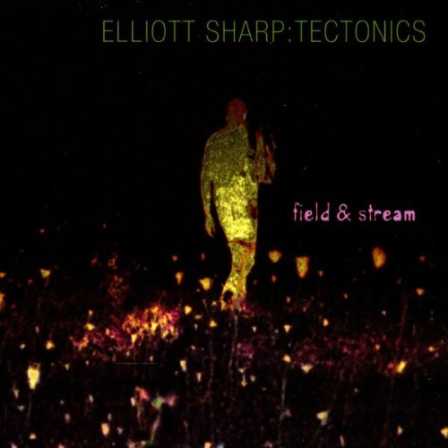 Field & Steam Dance & Electronic