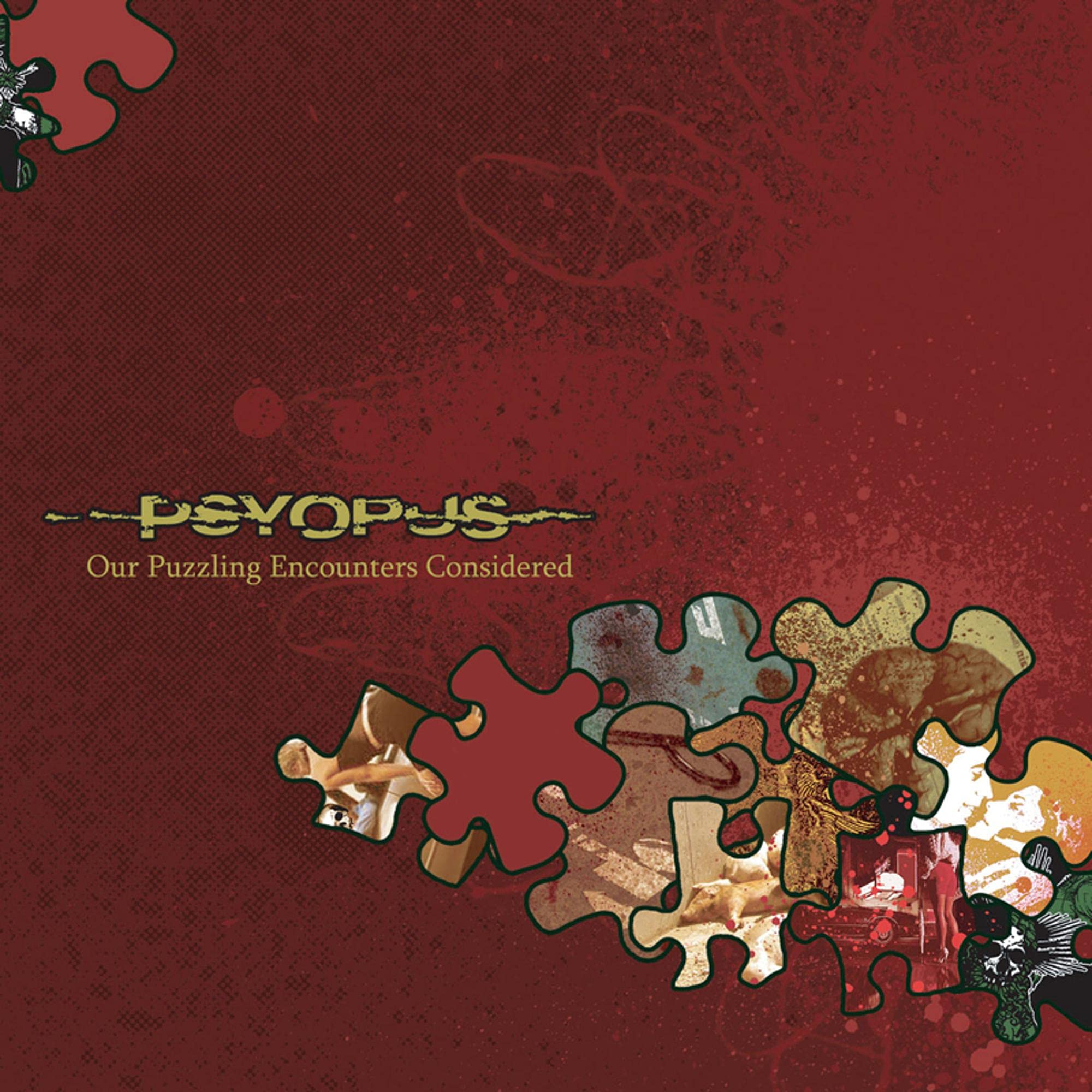 Our Puzzling Encounters Considered Alternative & Indie