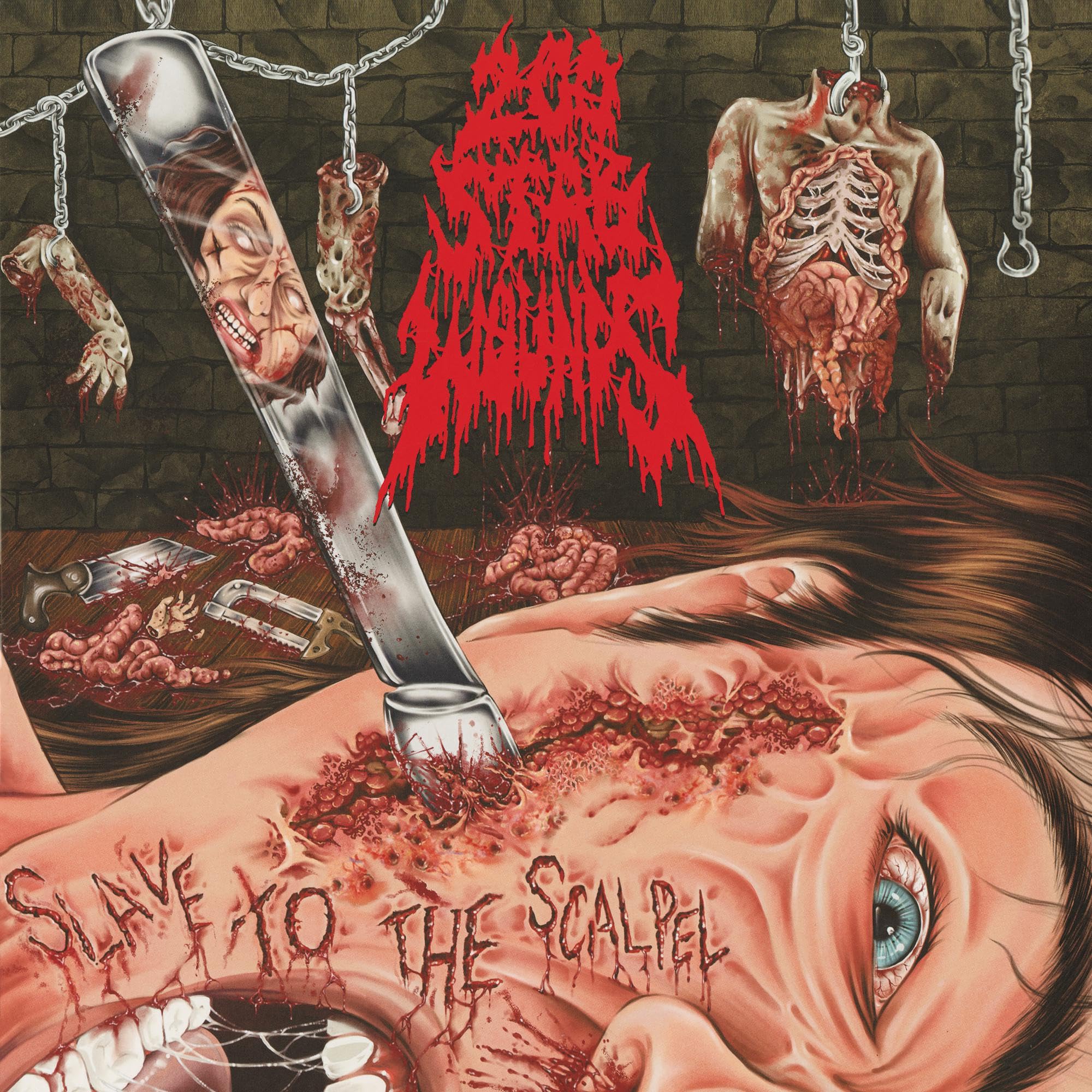 Slave to the Scalpel Alternative & Indie