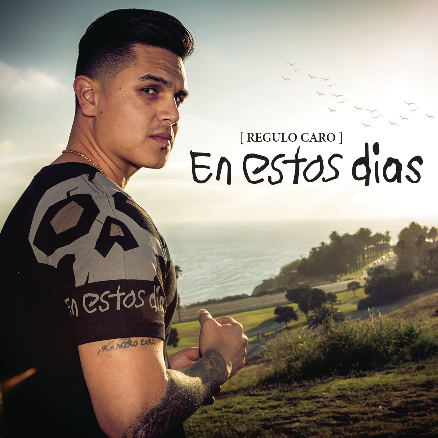 En Estos Dias Pop