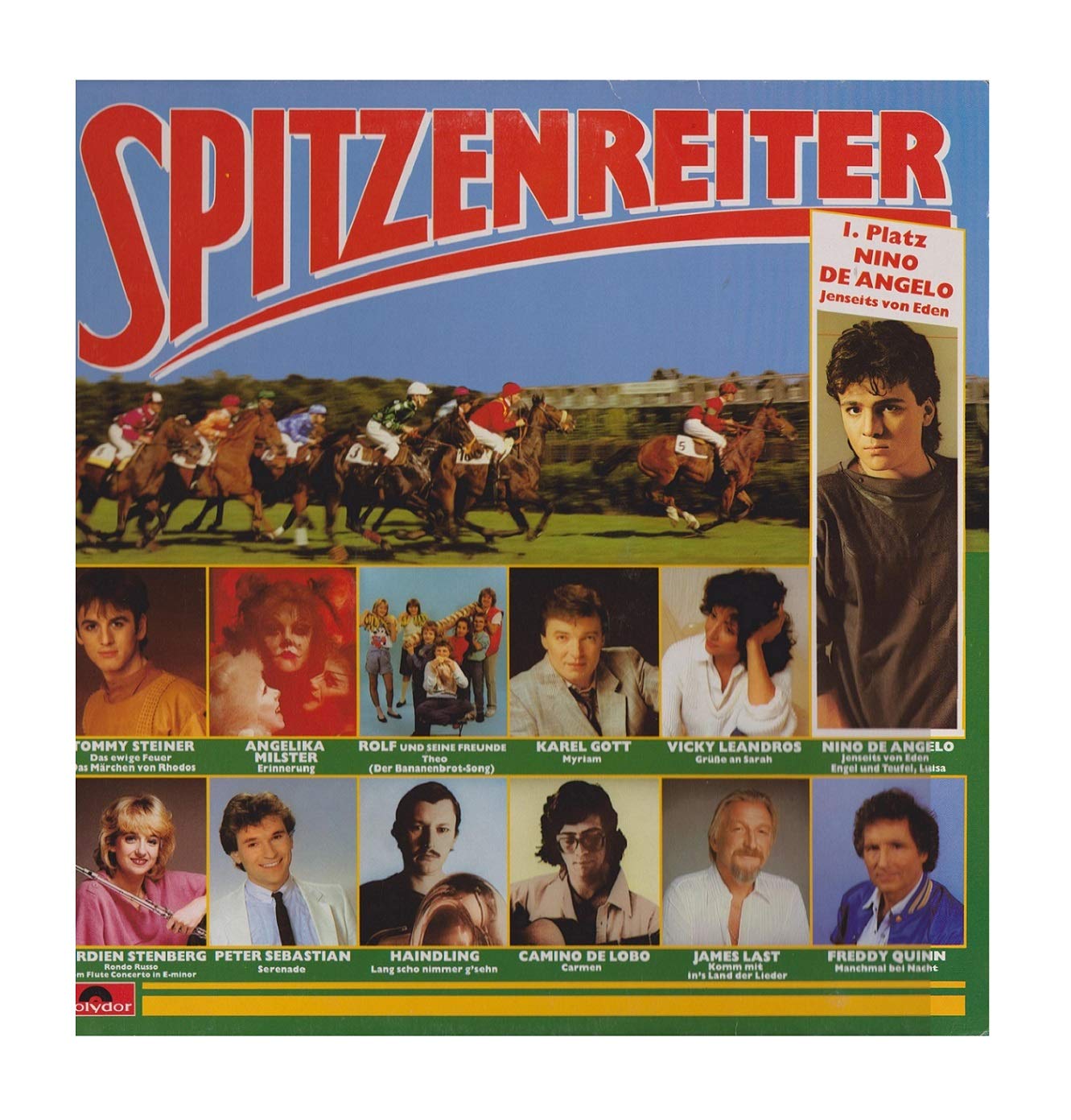 Nino de Angelo, Agelika Milster, Tommy Steiner, Haindling, Vicky Leandros, James Last.. / Vinyl record Music