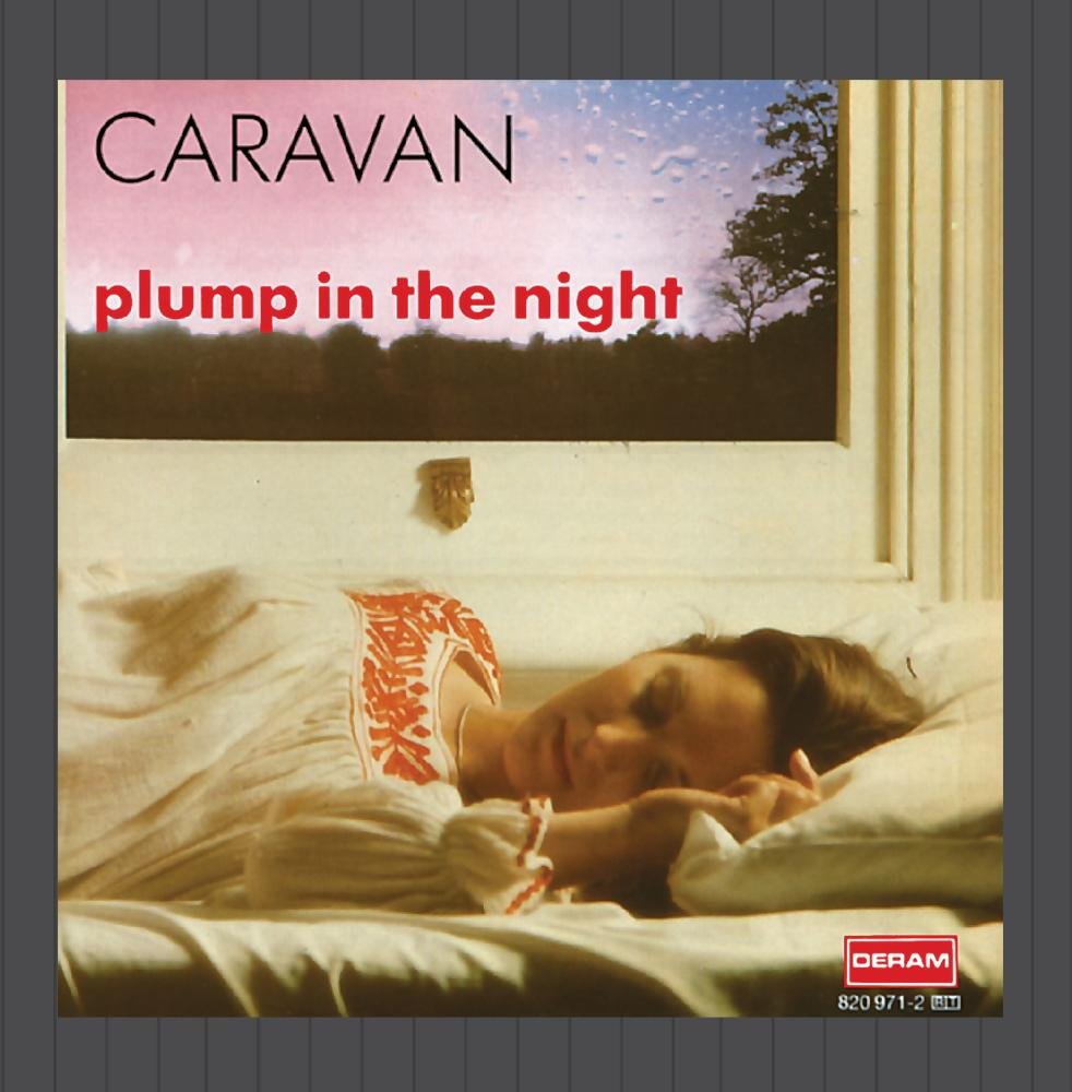 For Girls Who Grow Plump In The Night Jazz