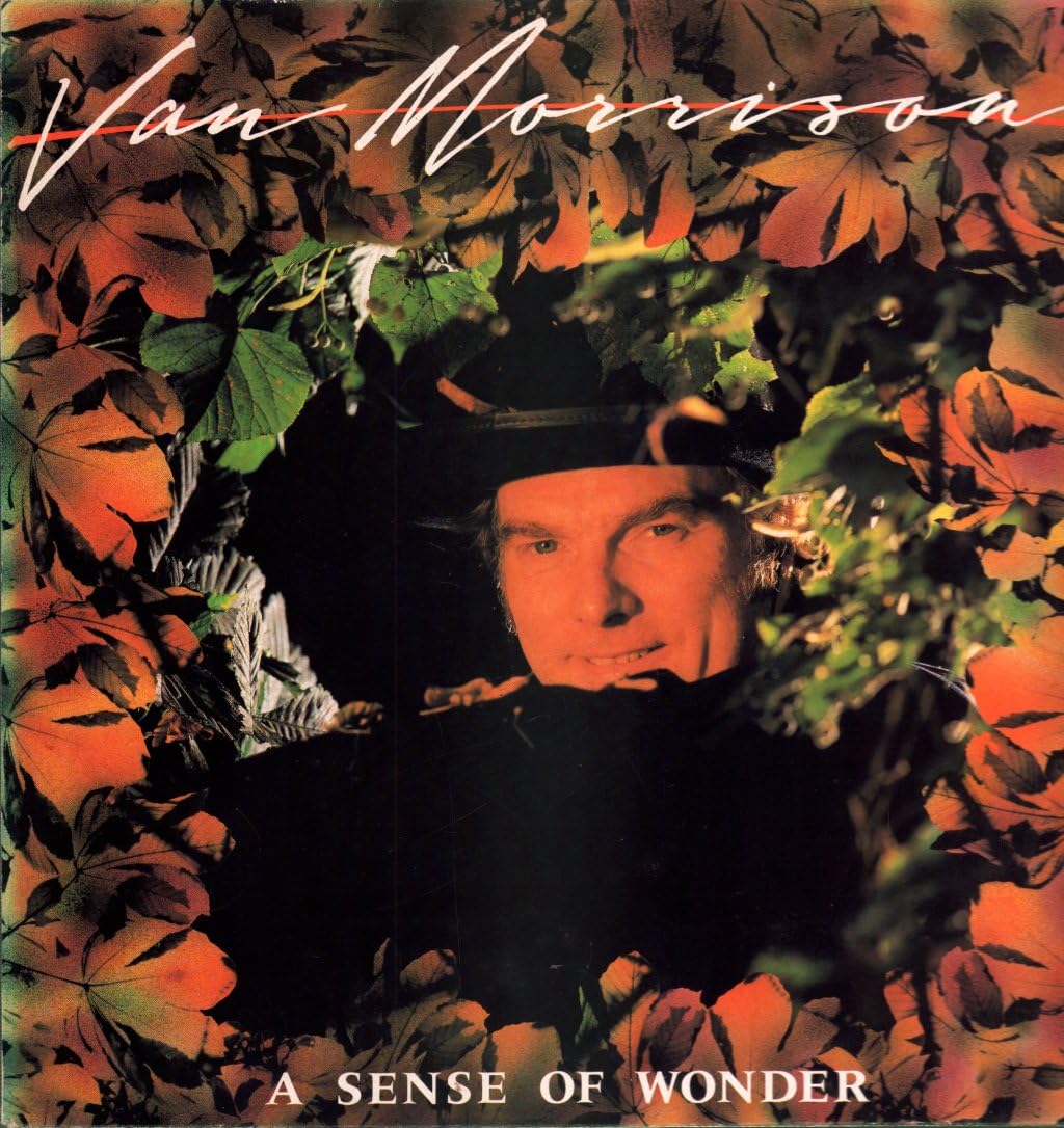 Product Image: A sense of wonder (1984)