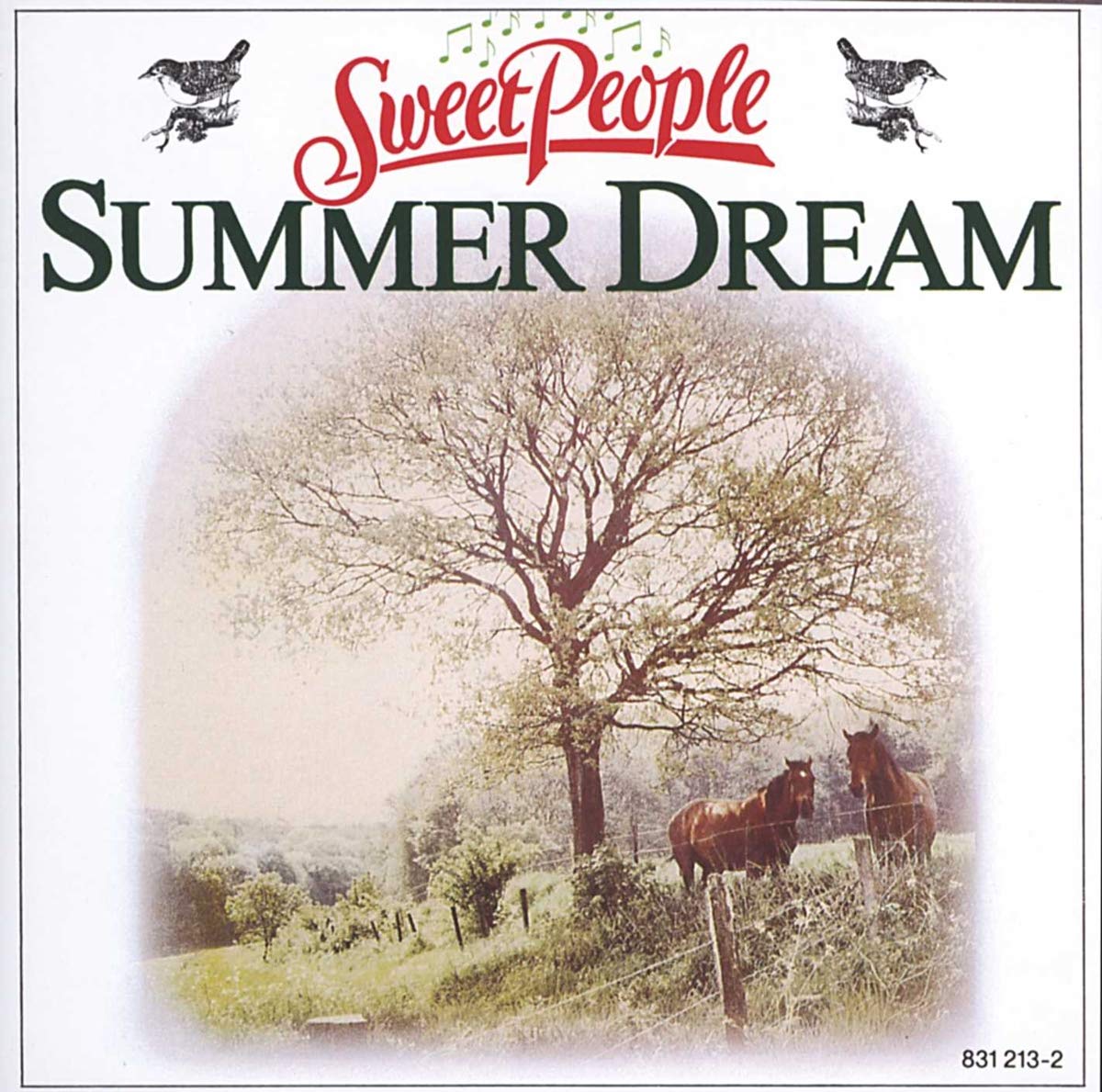 Summer Dream Other music genres