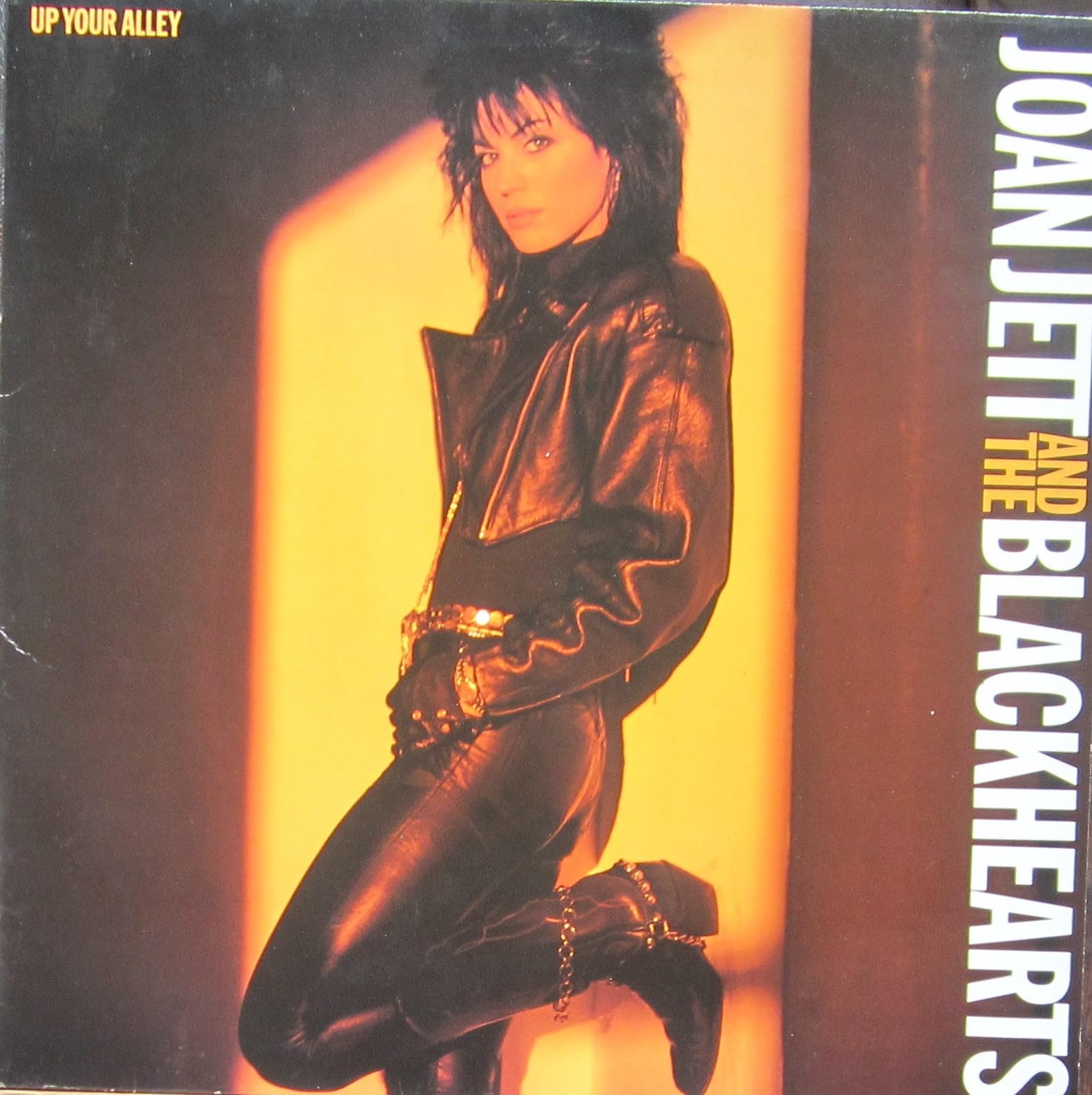 Up your alley (1988) Rock