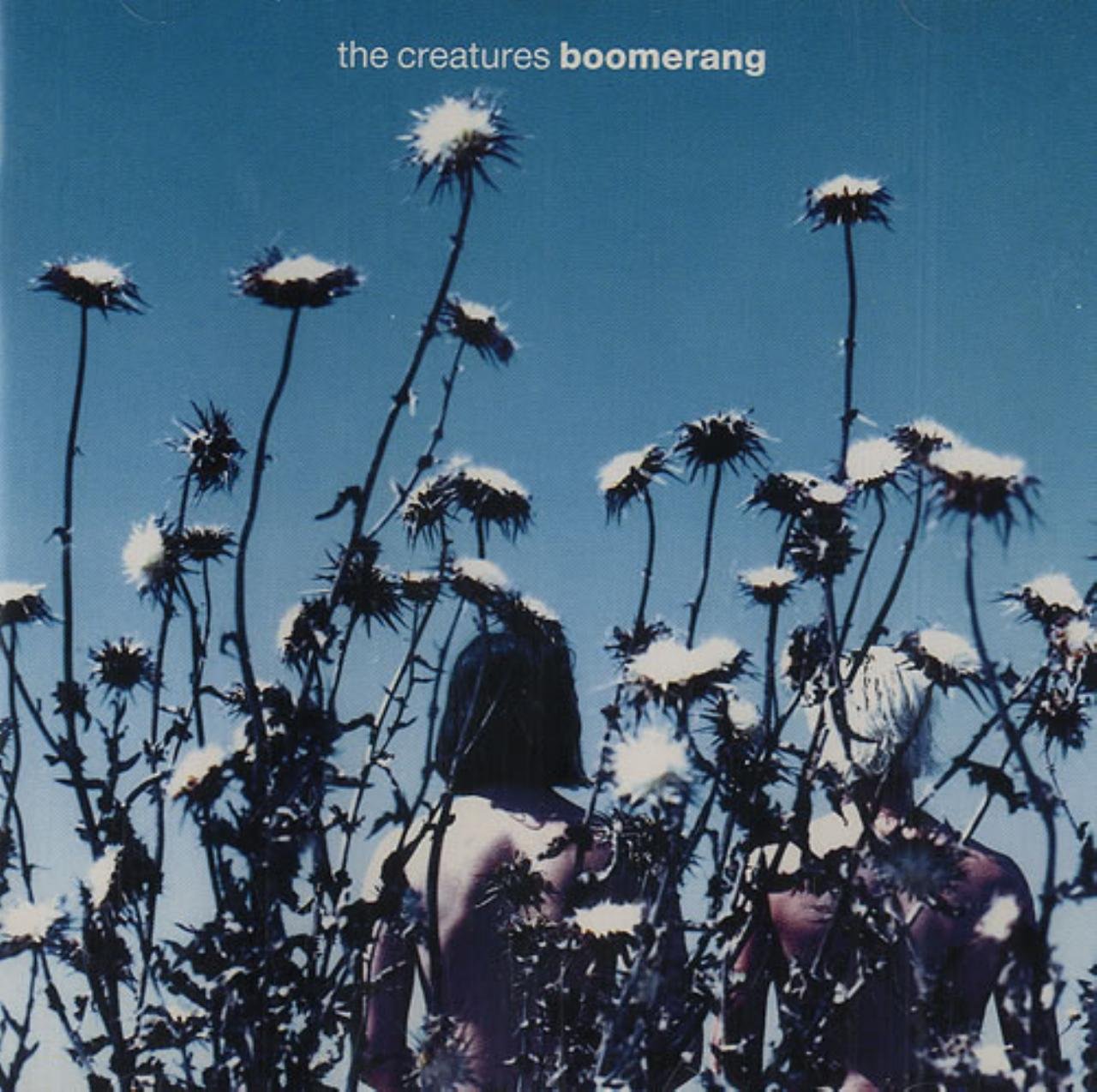 Boomerang Alternative & Indie