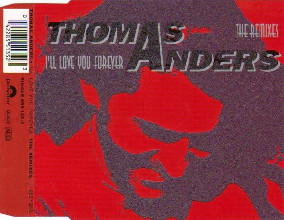 Product Image: I'll love you forever (The Remixes)