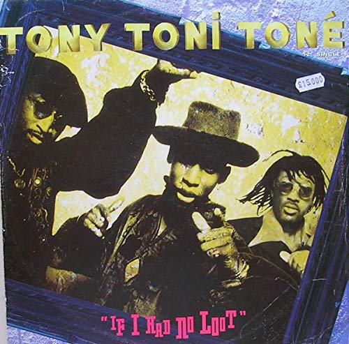 IF I HAD NO LOOT 12 INCH (12" VINYL) UK POLYDOR 1993 cd