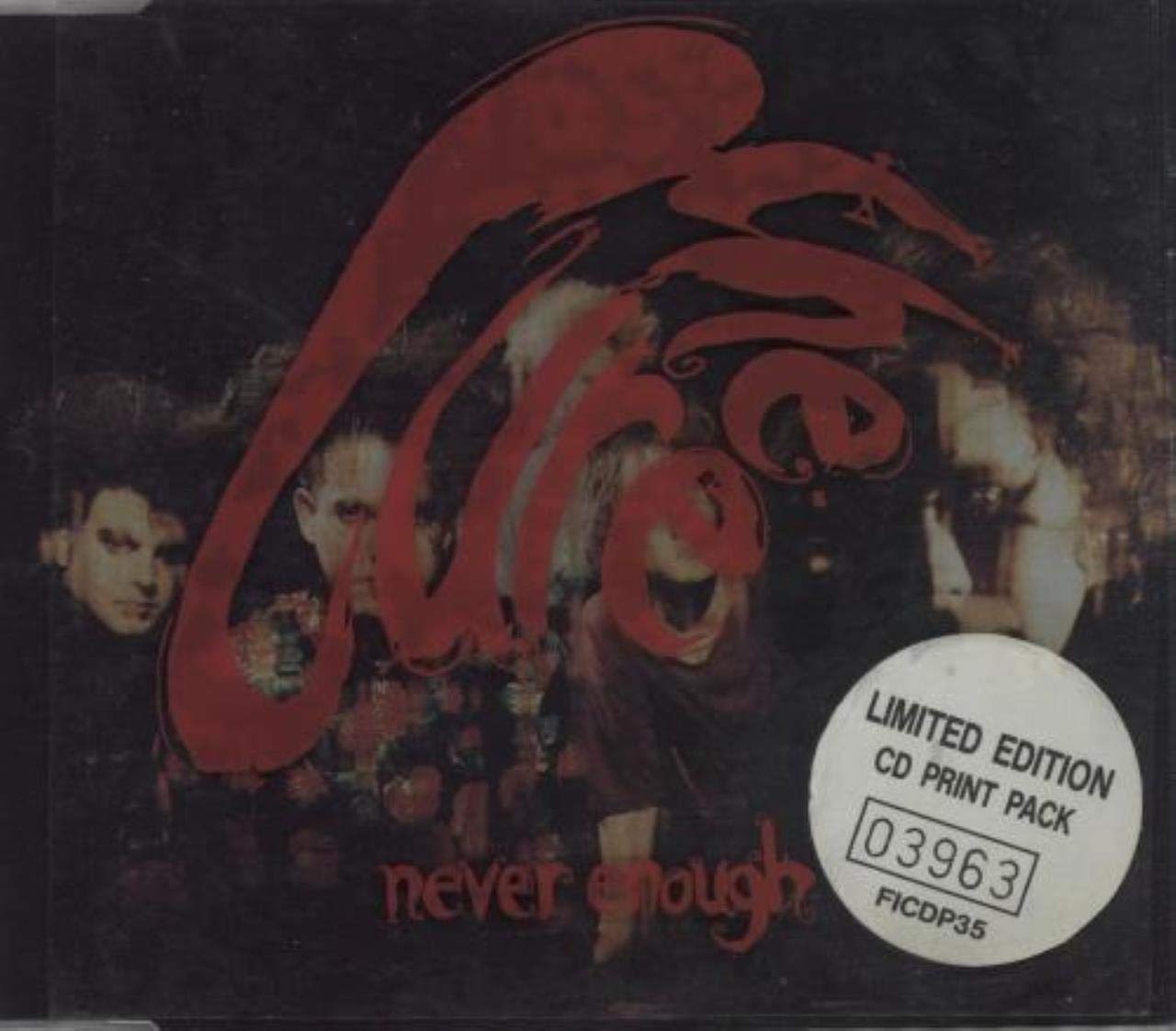Never Enough Alternative & Indie
