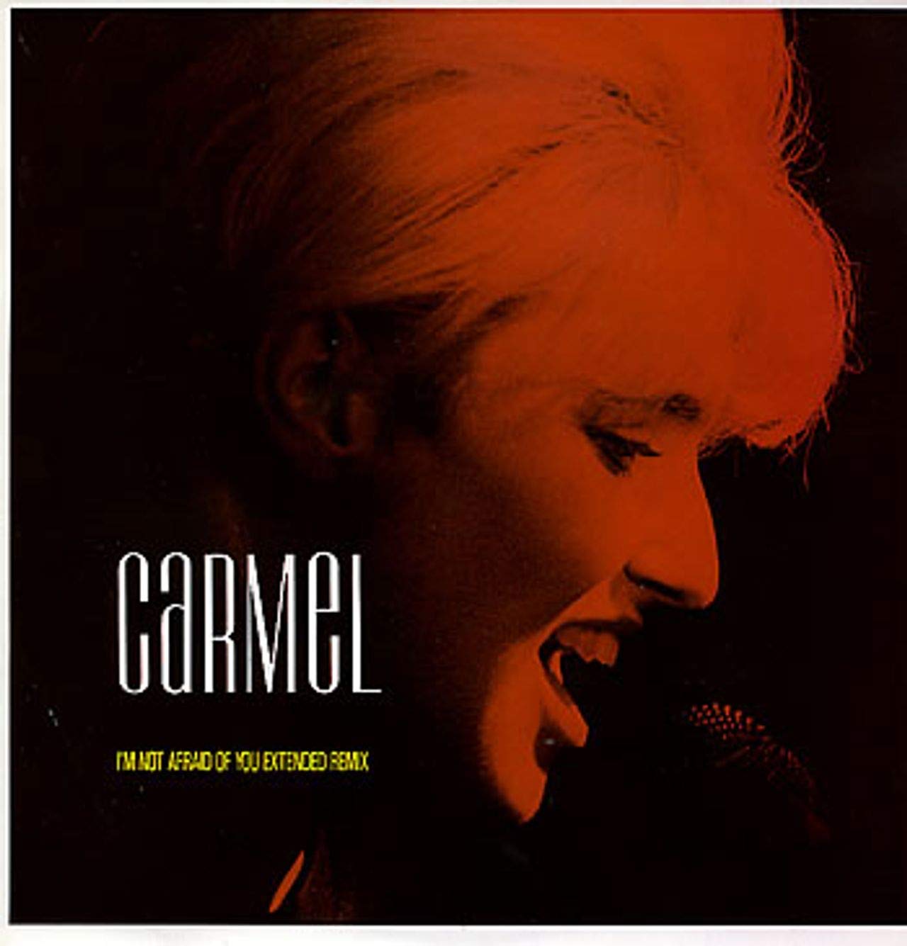 I'm Not Afraid of You (Ext. Remix, 1985) Pop