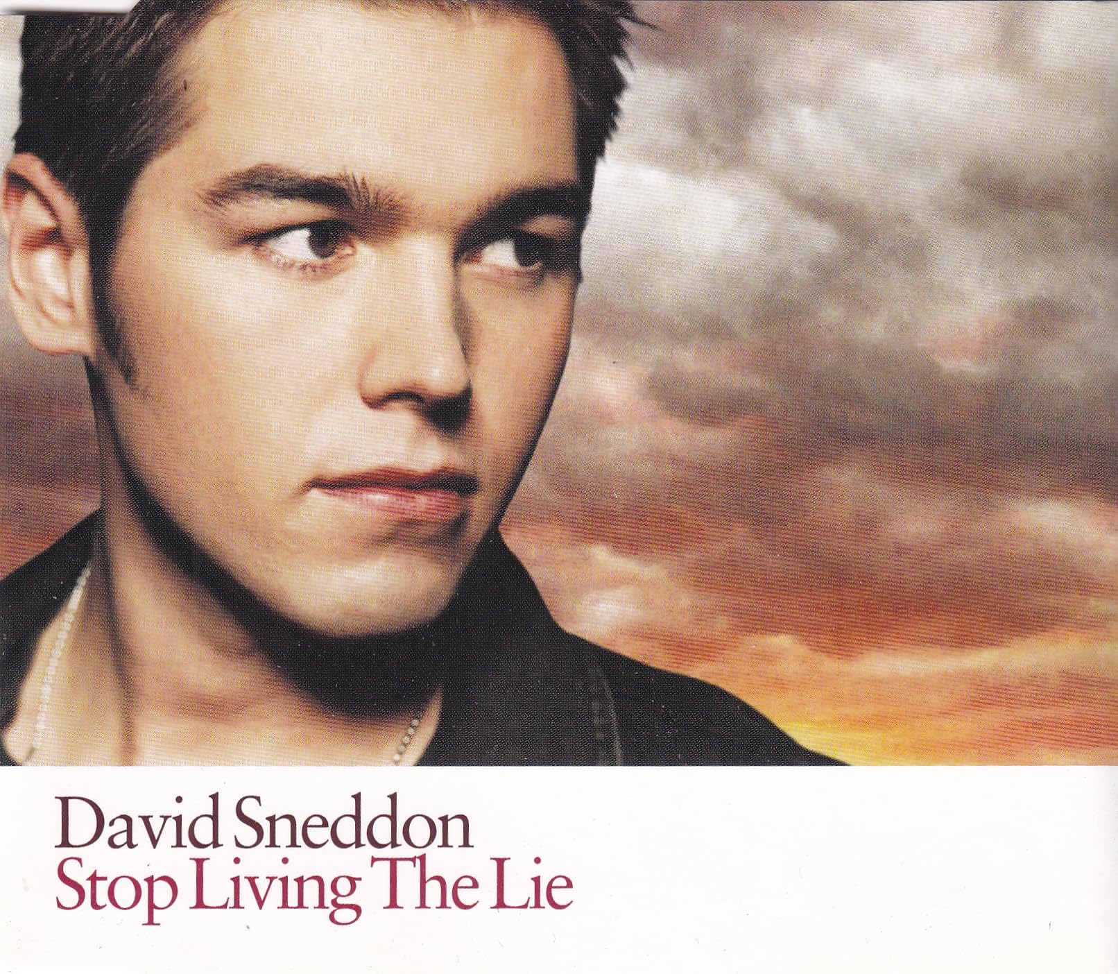 Product Image: Stop Living the Lie