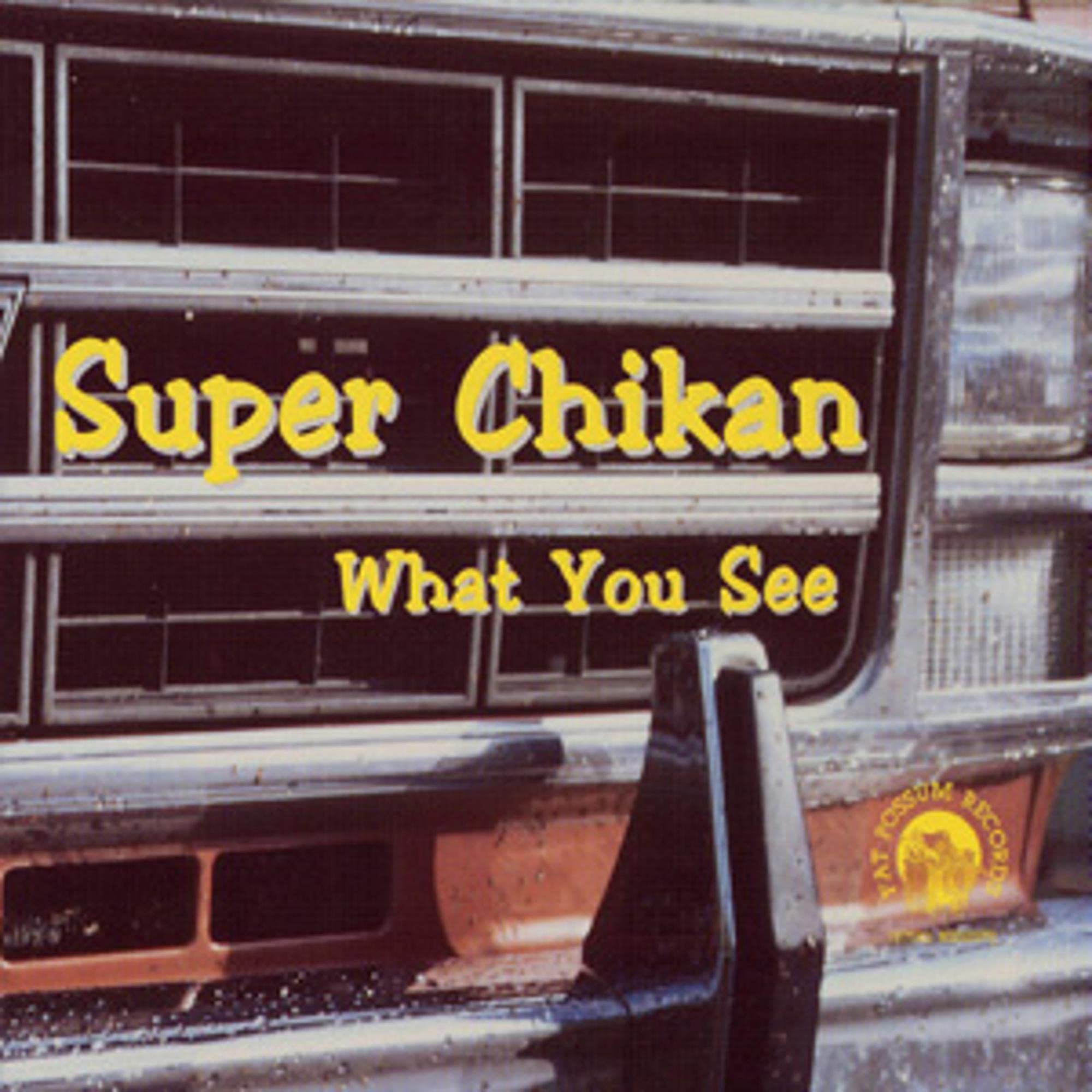 Product Image: What You See