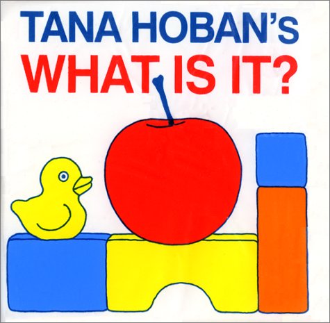 Product Image: What Is It? Board Book: Bath Book