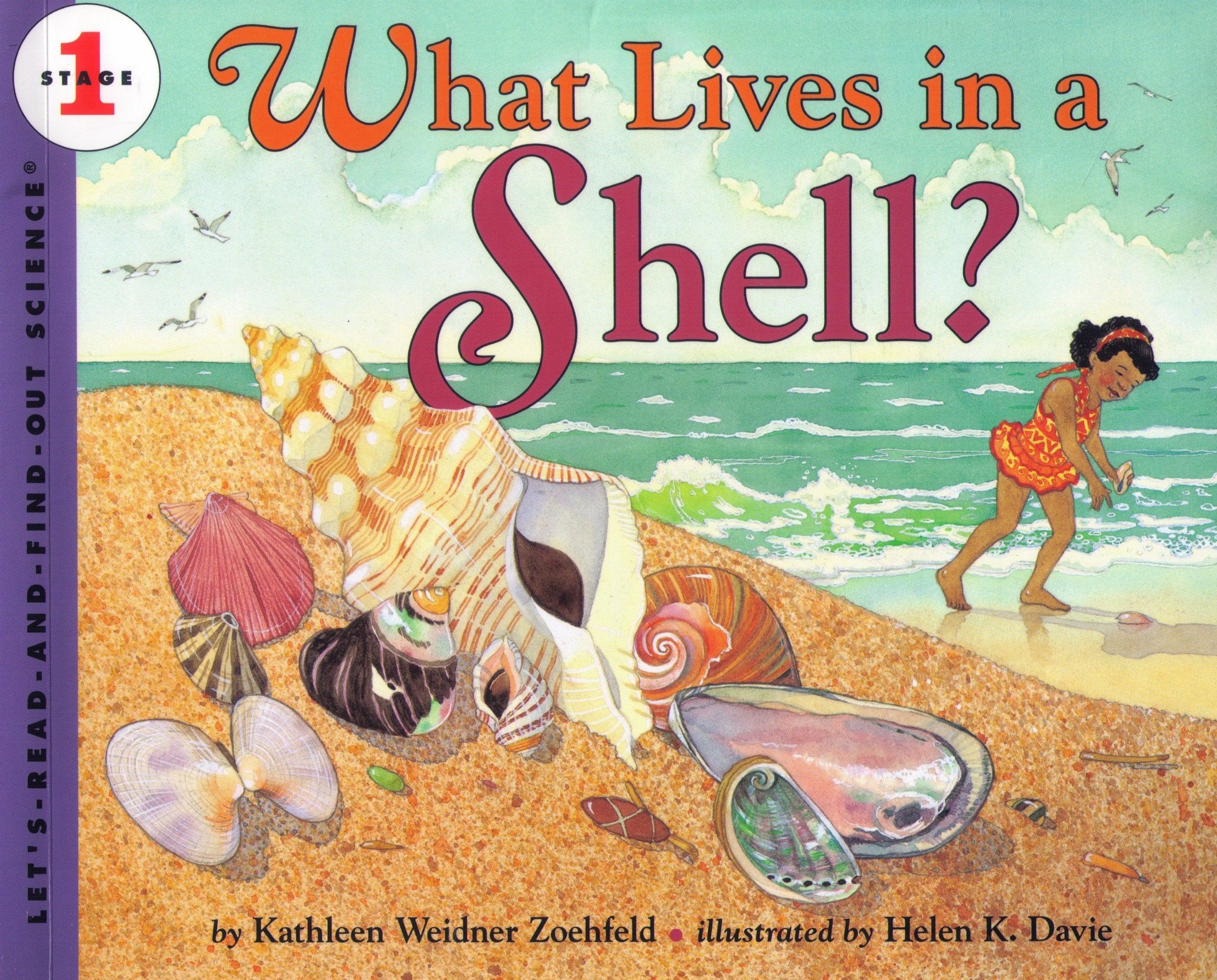 What Lives in a Shell? (Let's-Read-and-Find-Out Science 1, Band 1) Non-fiction