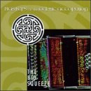 Masters of Celtic Accordion Pop