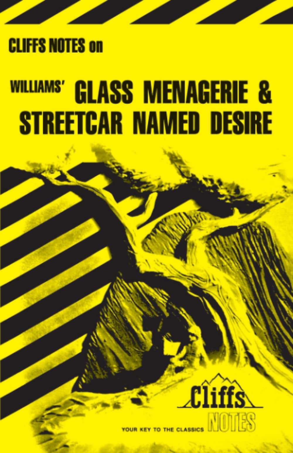 Cliffs Notes on Williams' Glass Menagerie & Streetcar Named Desire Contemporary literature