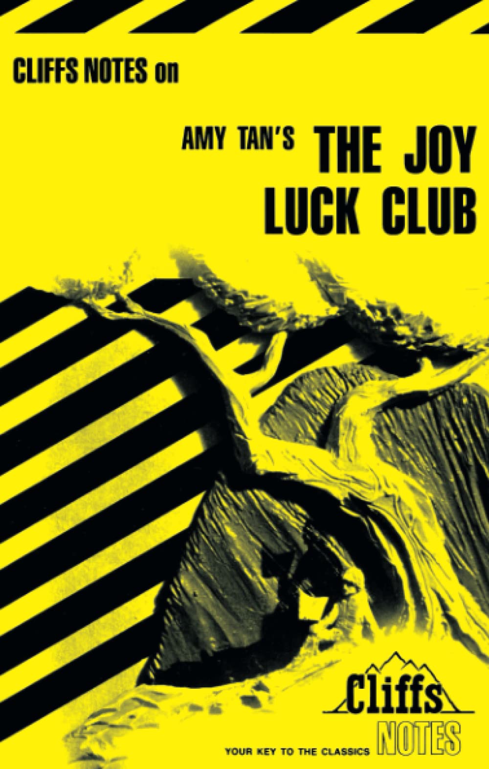 CliffsNotes on Tan's The Joy Luck Club (CliffsNotes on Literature) Contemporary literature