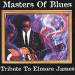 Master of Blues - Tribute to Elmore James Blues