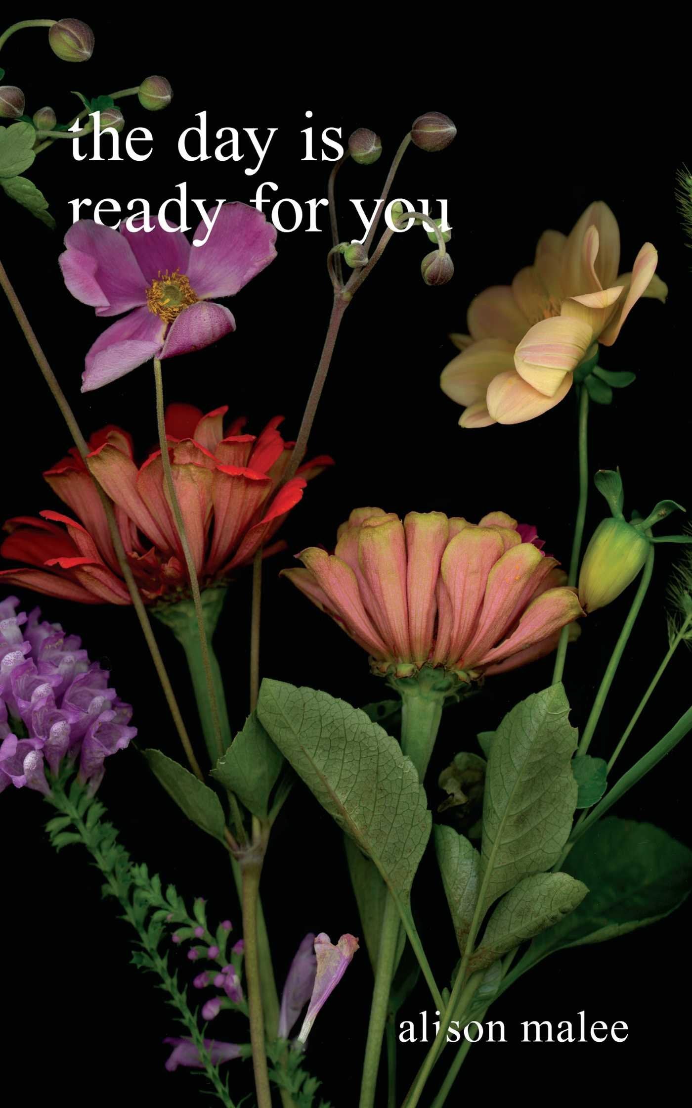 The Day Is Ready for You Poetry