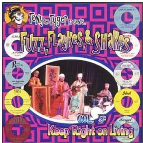 Tony The Tyger Presents Fuzz Flaykes and Shakes, Vol.4 : Experiment in cd