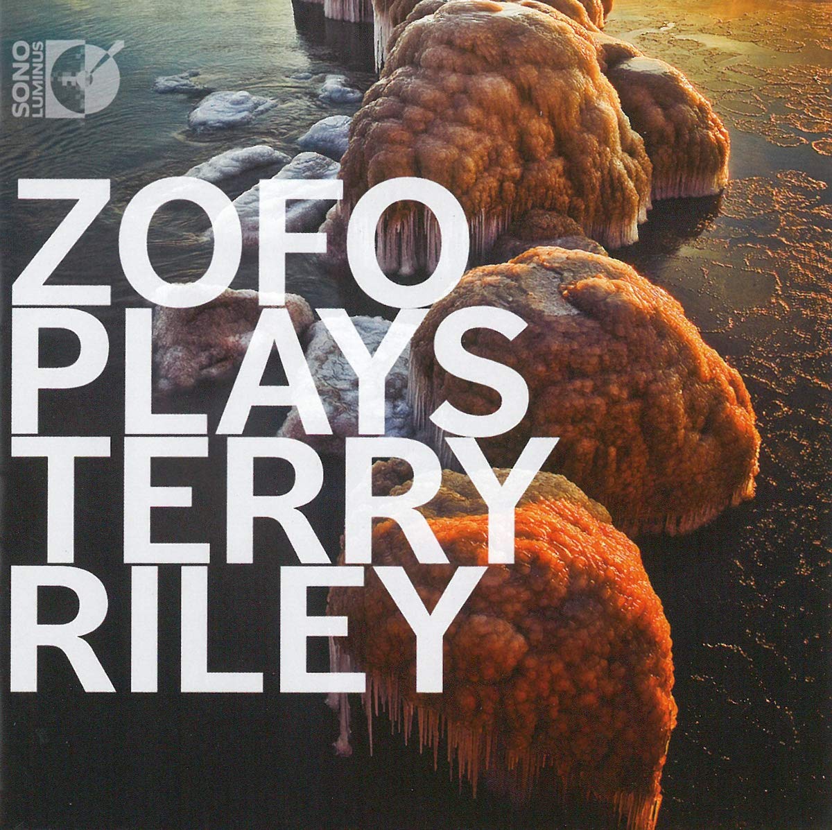 Zofo Plays Terry Riley (Musica per Pianoforte a 4 Mani) cd