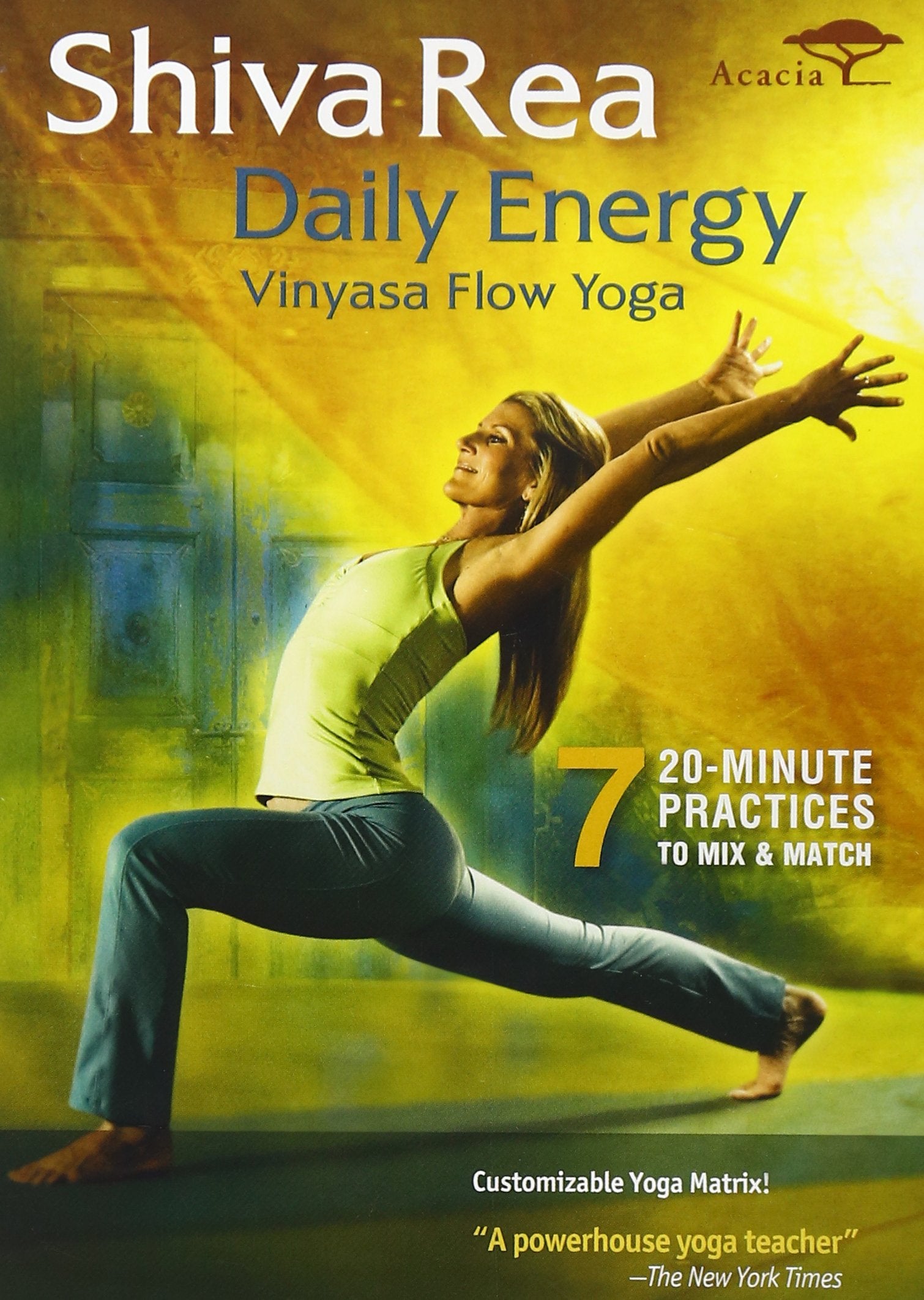 Shiva Rea: Daily Energy - Vinyasa Flow Yoga (2009) Shiva Rea (japan import) Films
