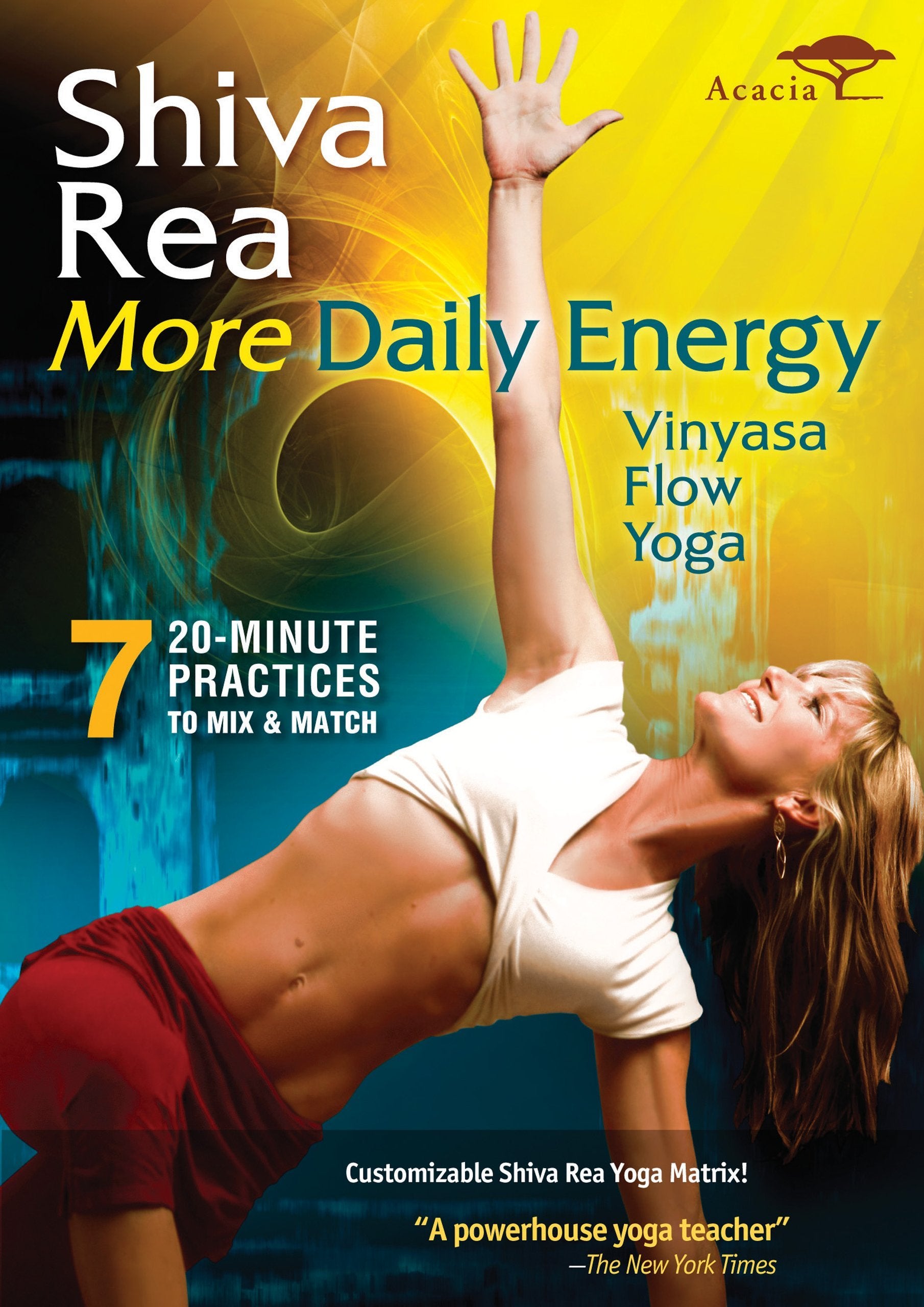 More Daily Energy: Vinyasa Flow Yoga dvd