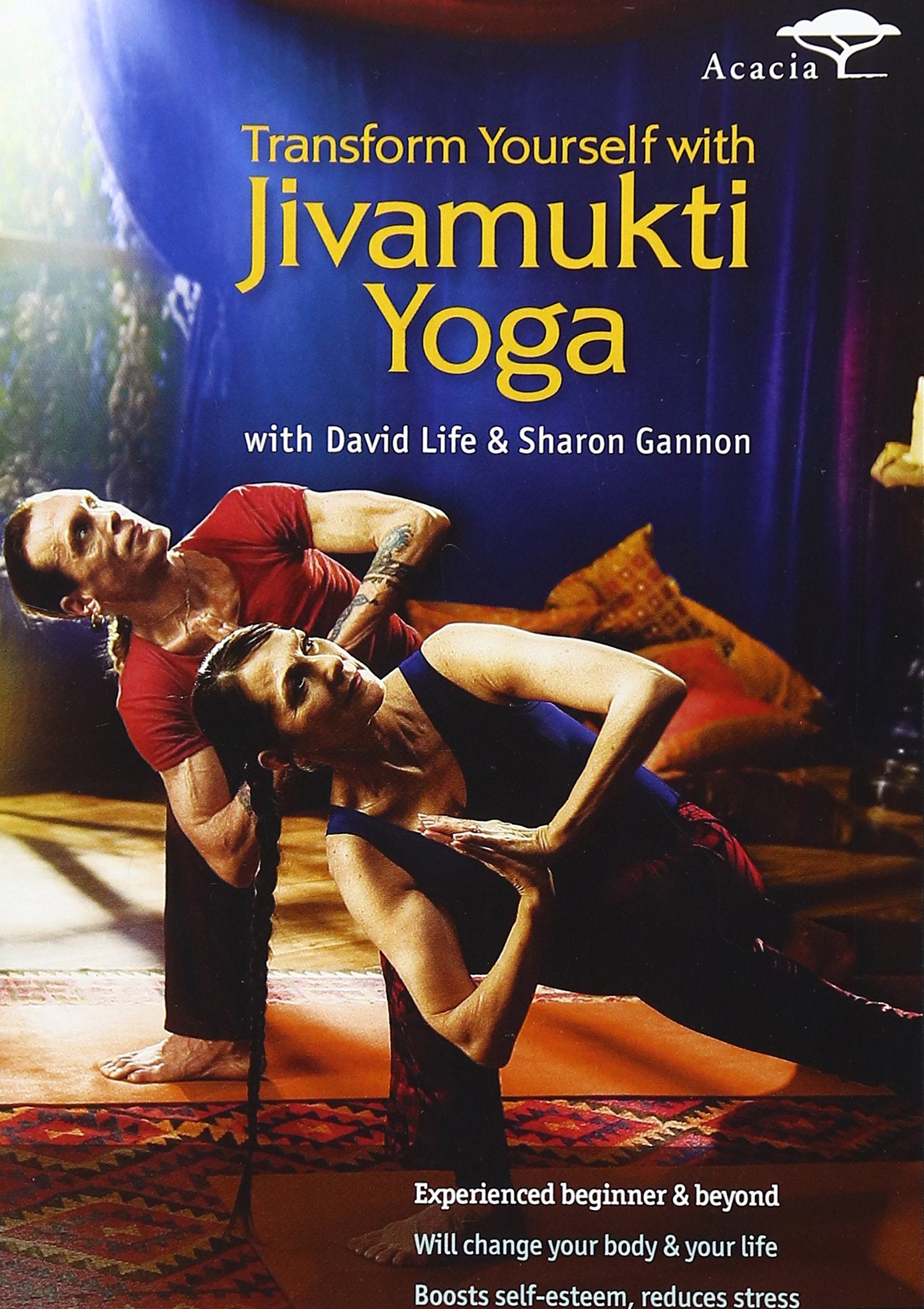 Transform Yourself with Jivamukti Yoga (2007) David Life; Sharon Gannon (japan import) Films