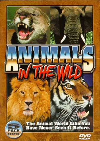 Animals in the Wild Films