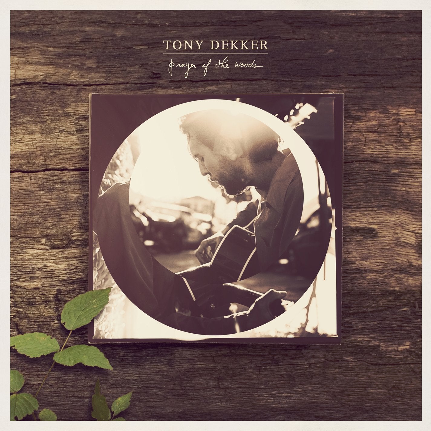 Prayer Of The Woods cd