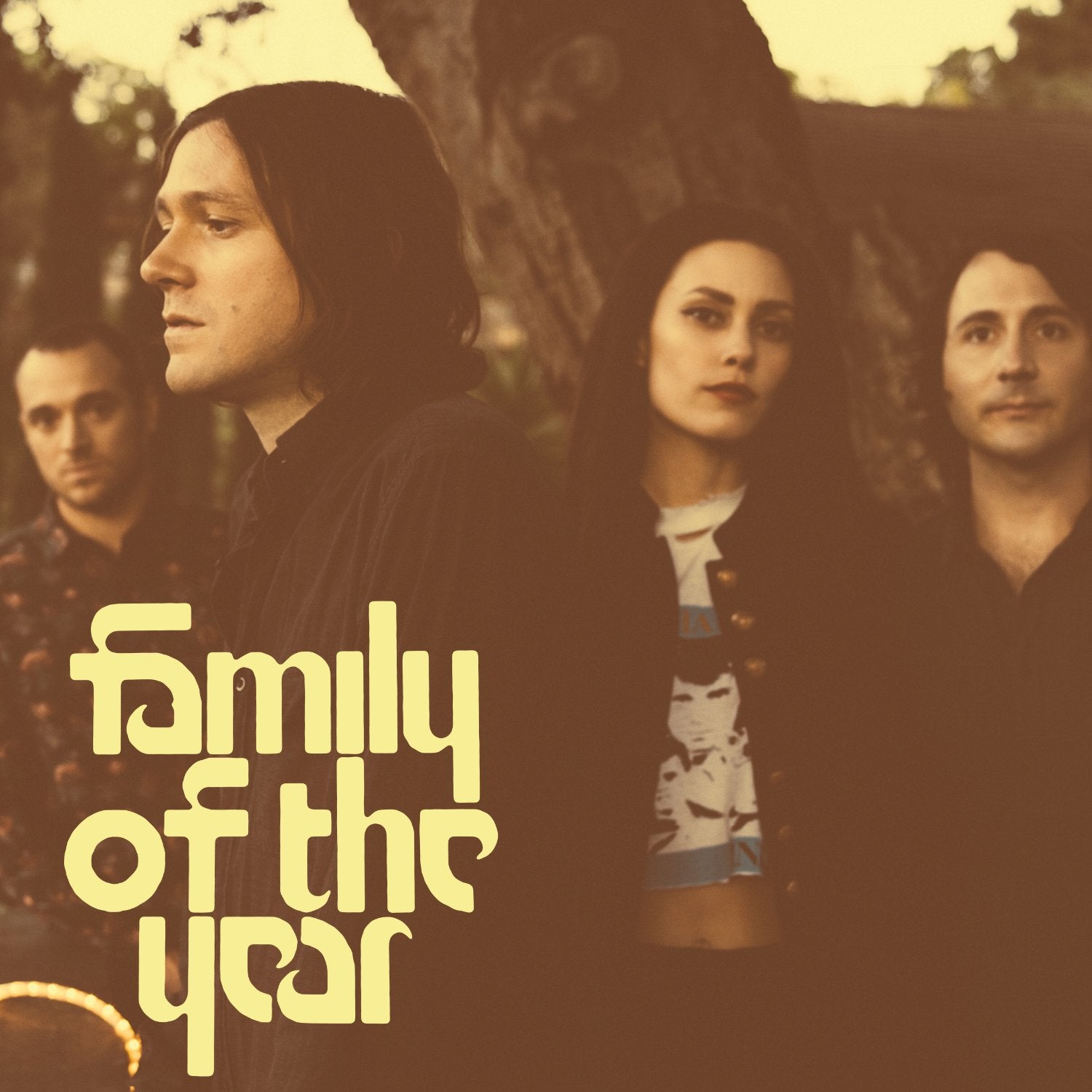 Family of the Year Pop