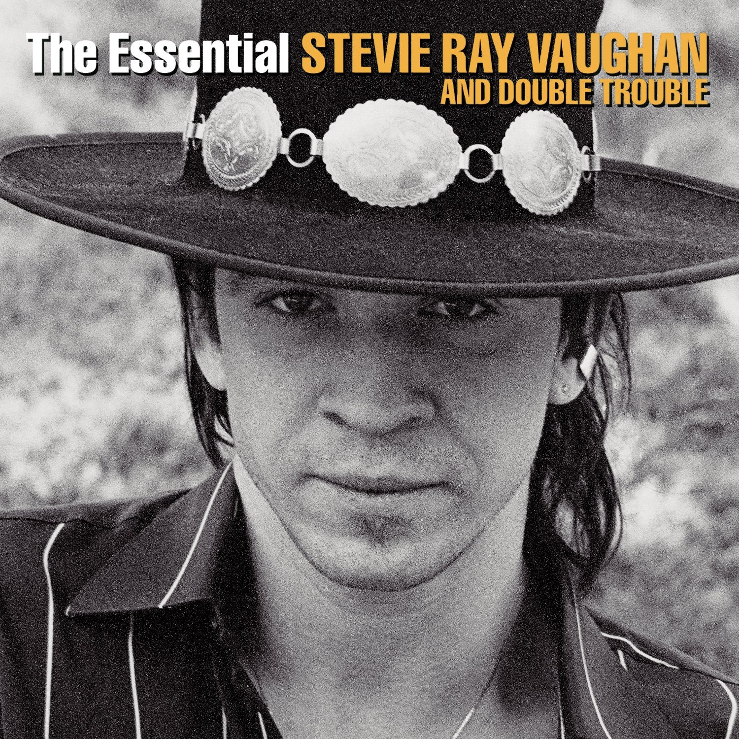 Product Image: Essential Stevie Ray Vaughan