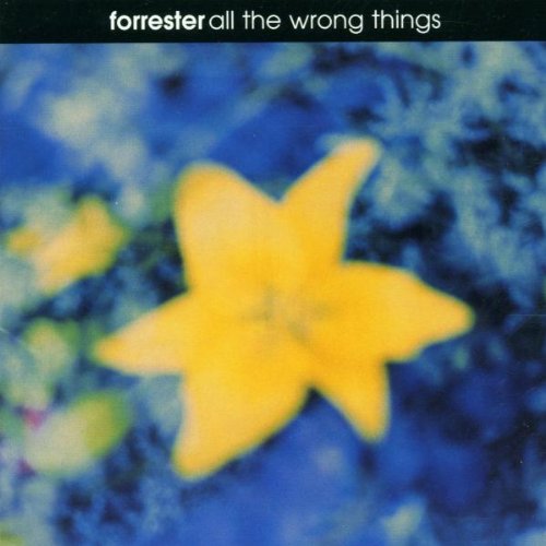 All the Wrong Things Rock
