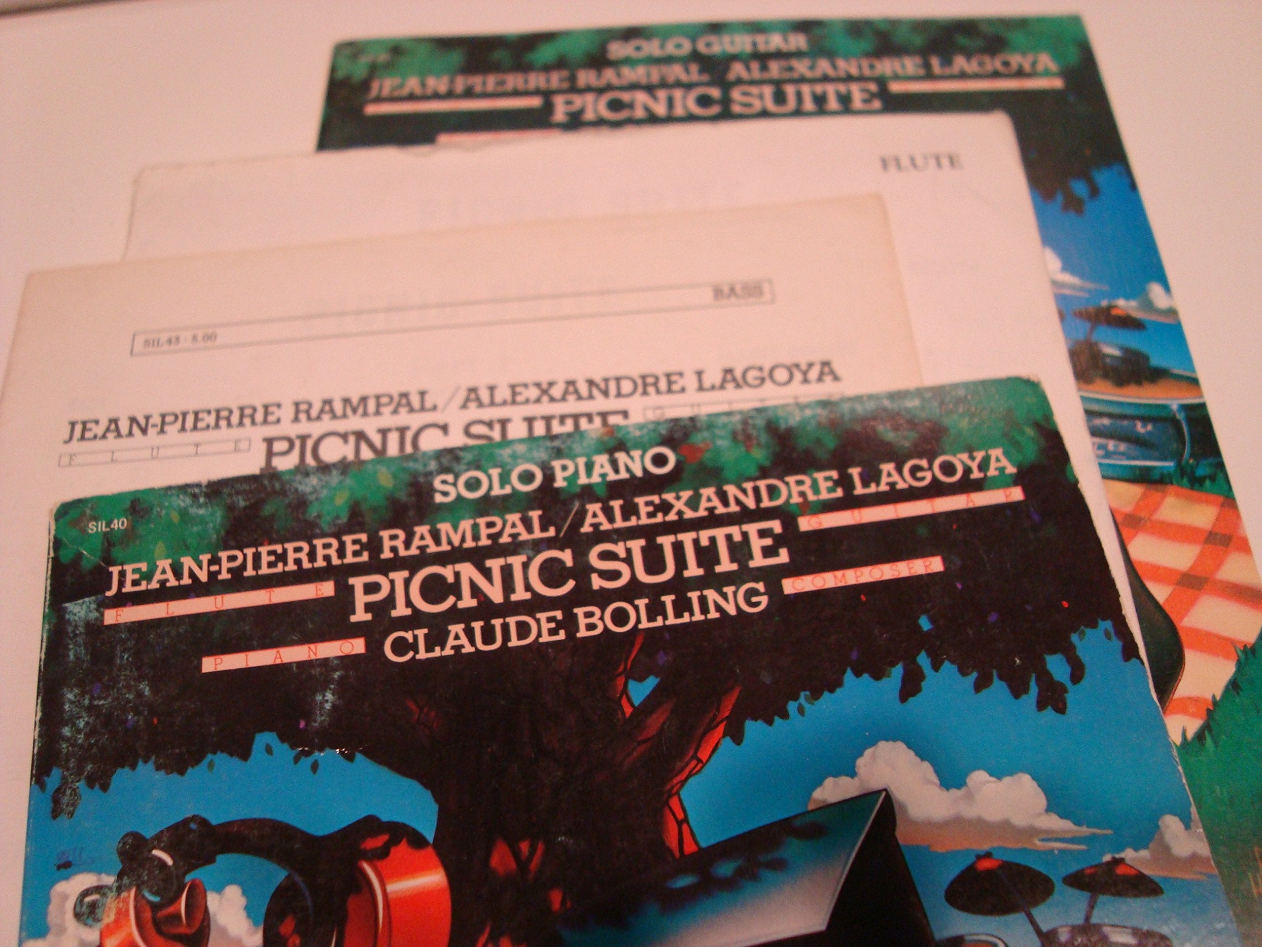 Picnic Suite book