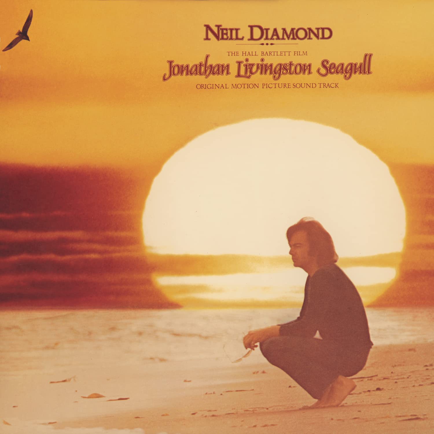 Product Image: Jonathan Livingston Seagull N. Diamond