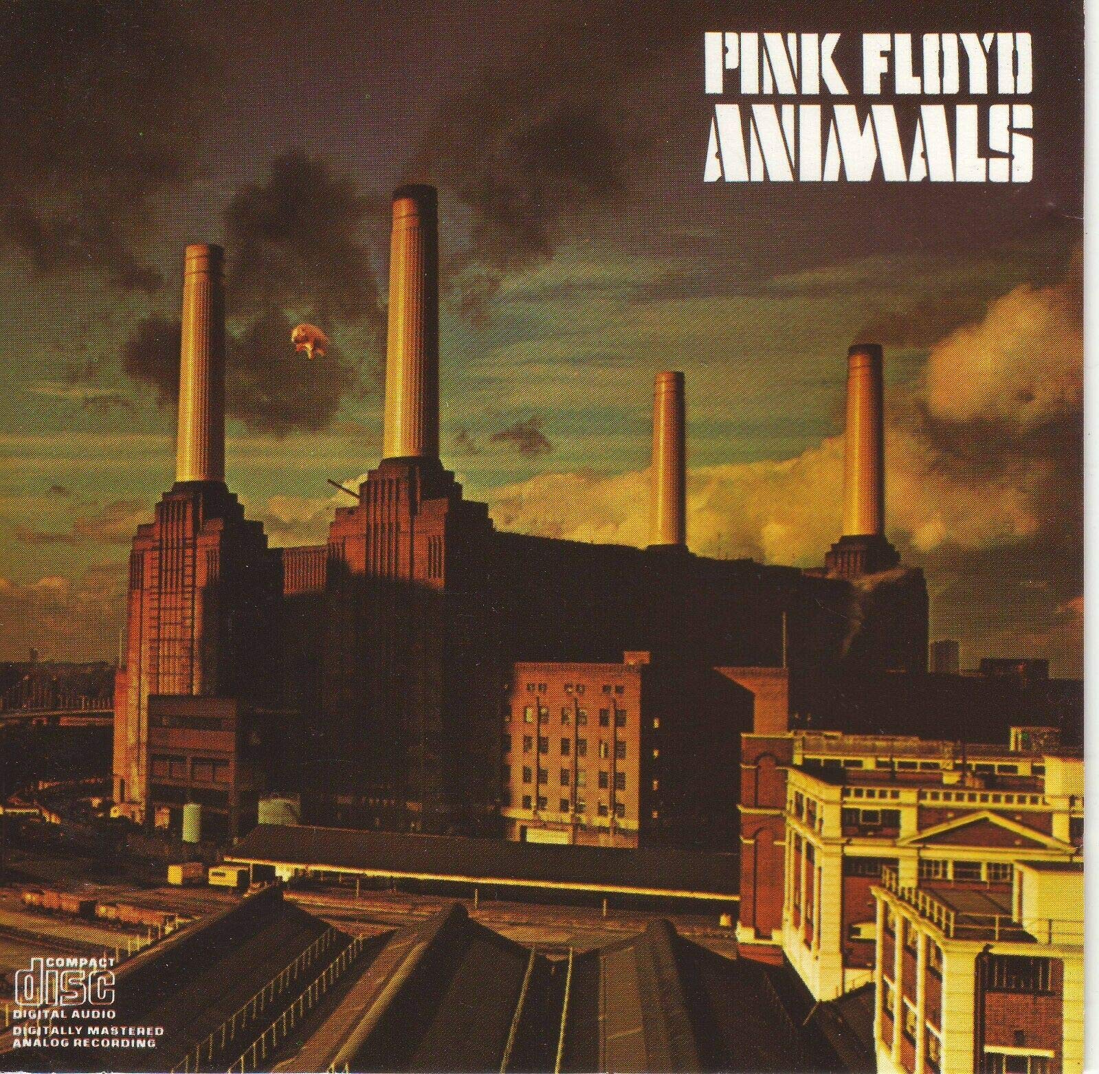 Animals Rock