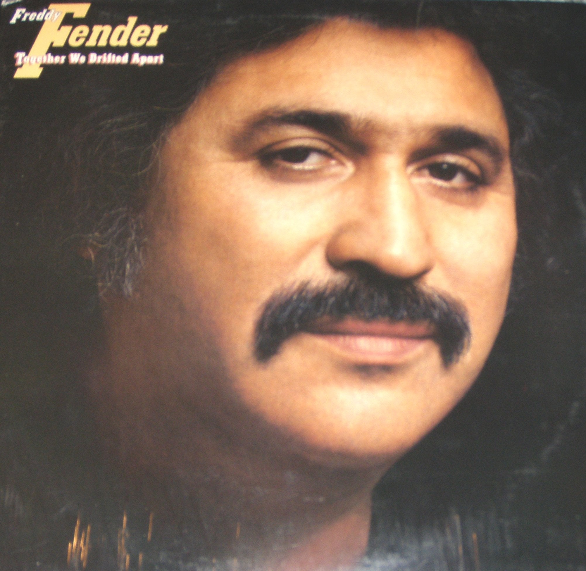 Together we drifted apart (US, 1980) / Vinyl record Music