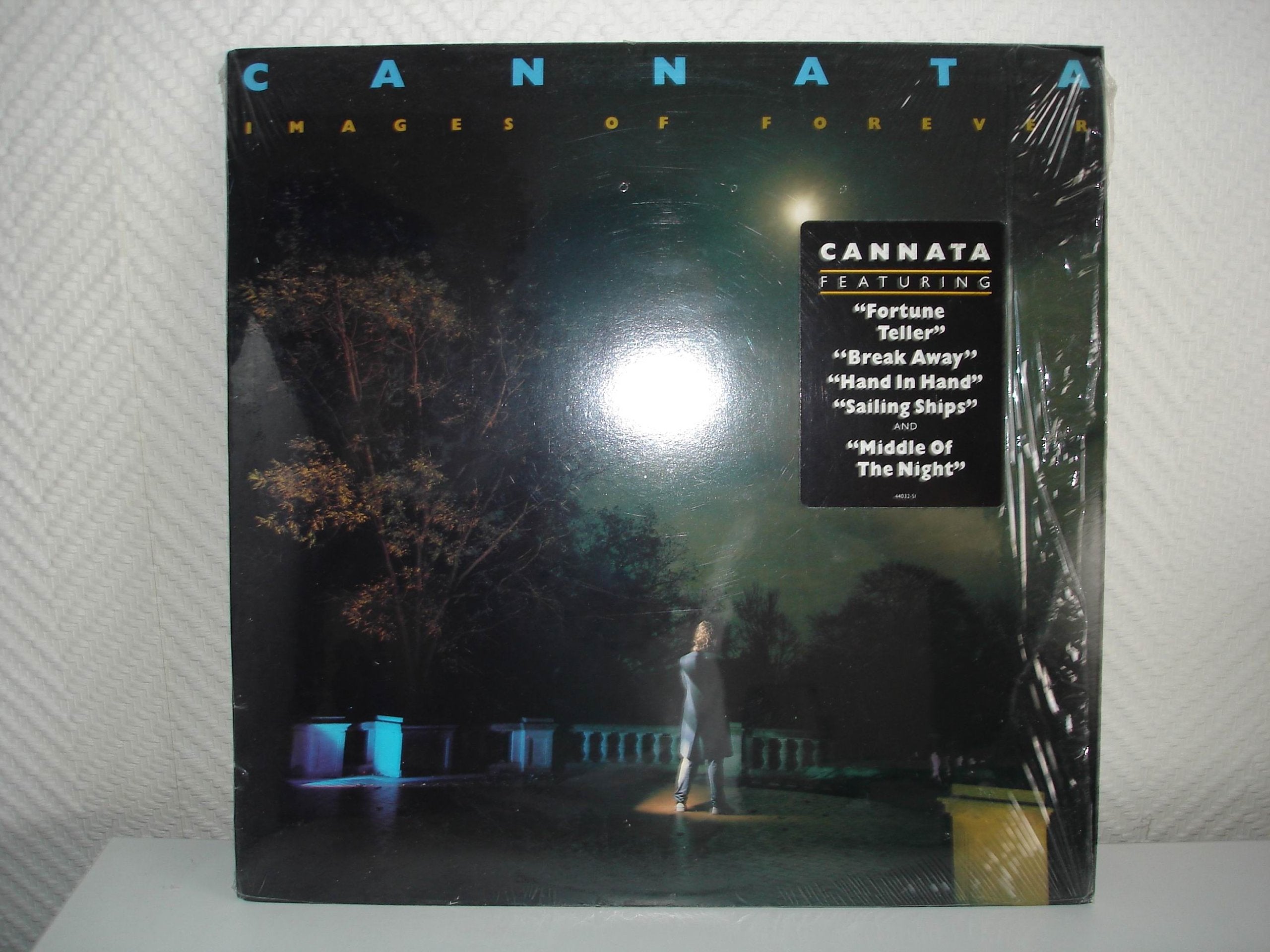Images of forever (1988, US) Music