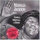 Vol. 1-Gospels Spirituals & Hy Blues