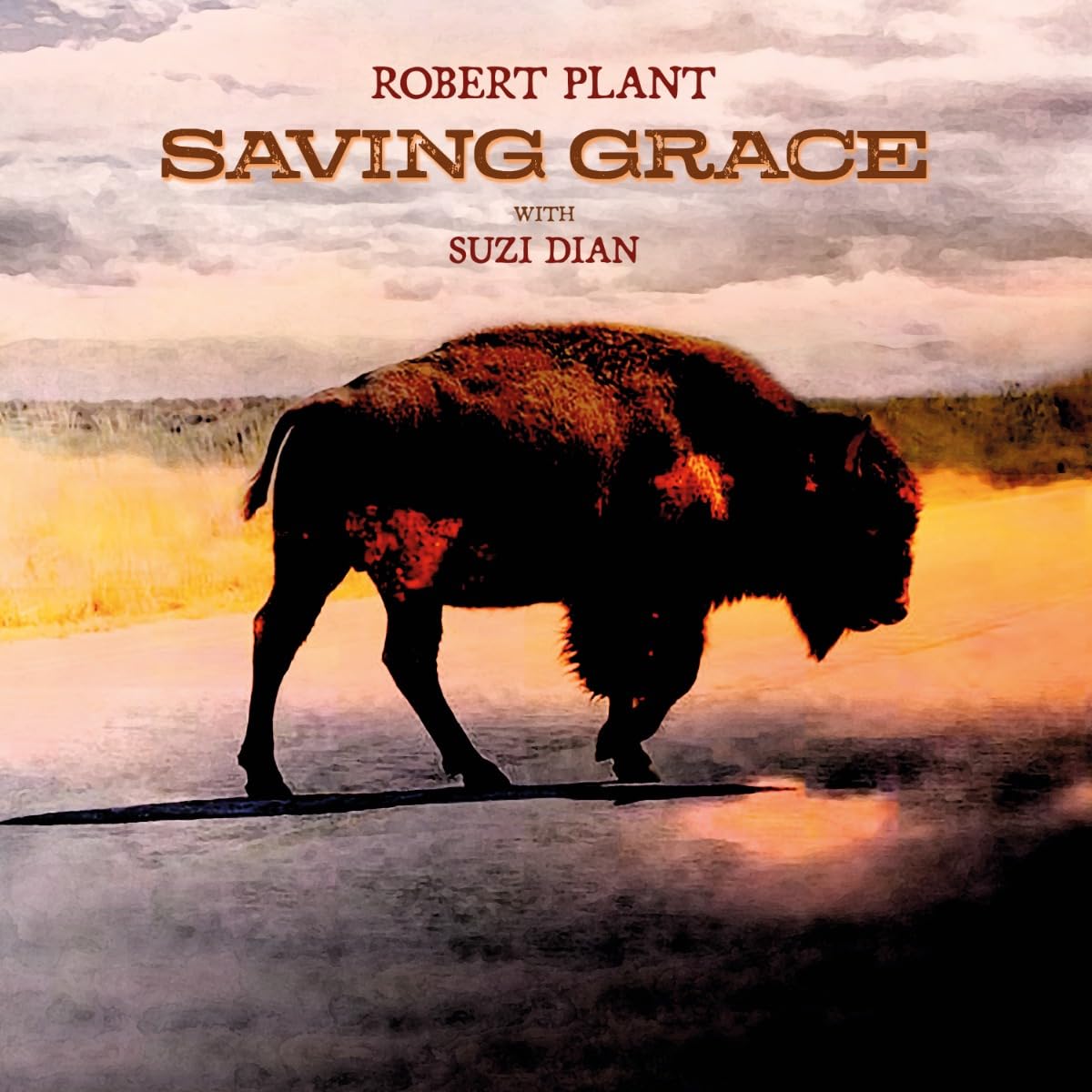 ROBERT PLANT - Saving Grace LP Fruit Punch Vinyl SIGNED Art Card Books