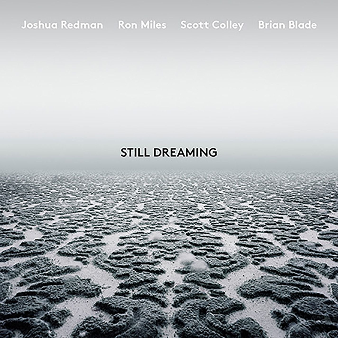 Still Dreaming Jazz