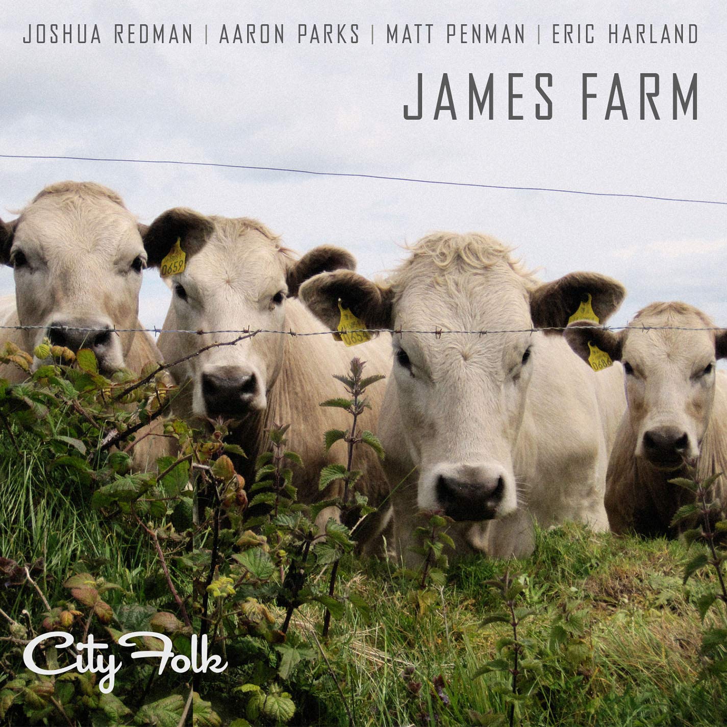 James Farm:City Folk Jazz