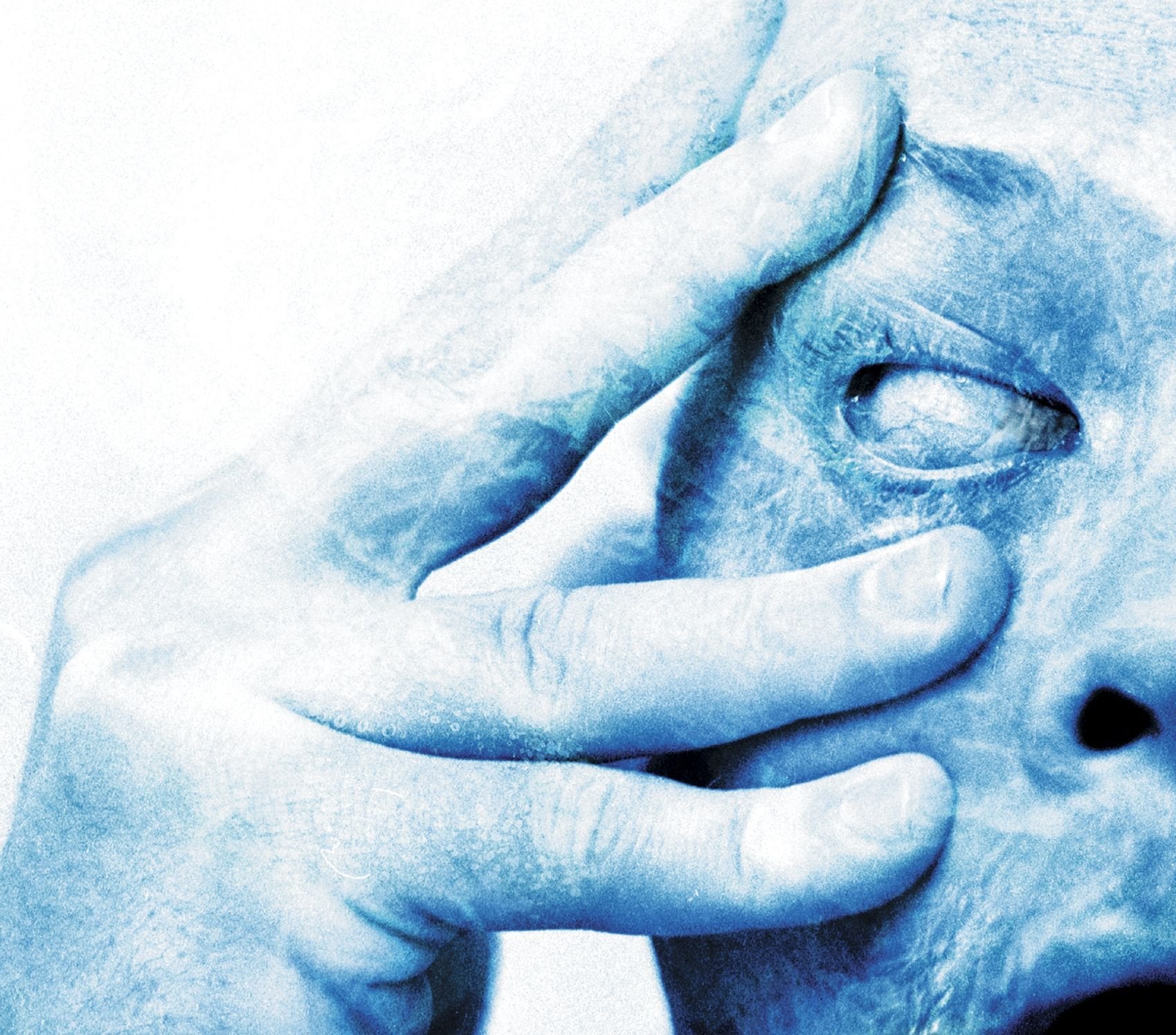 Product Image: In Absentia