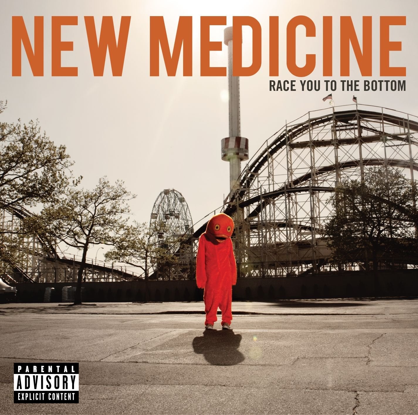 Race You to the Bottom cd