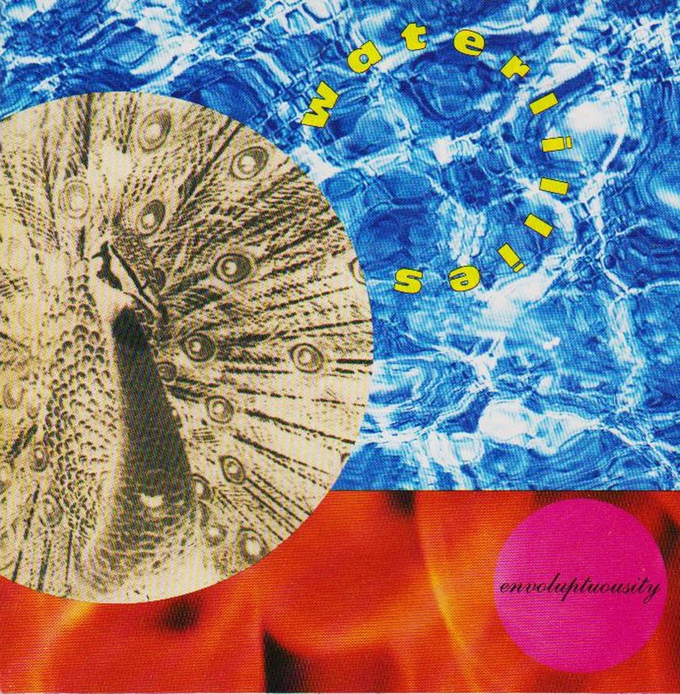 Envoluptuousity Dance & Electronic