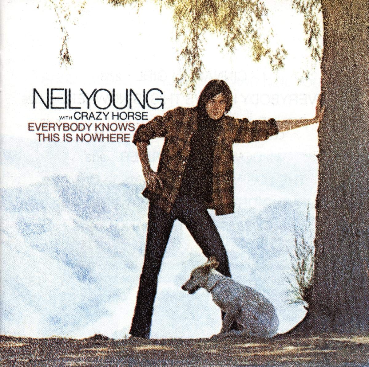 Everybody Knows This Is Nowhere Rock