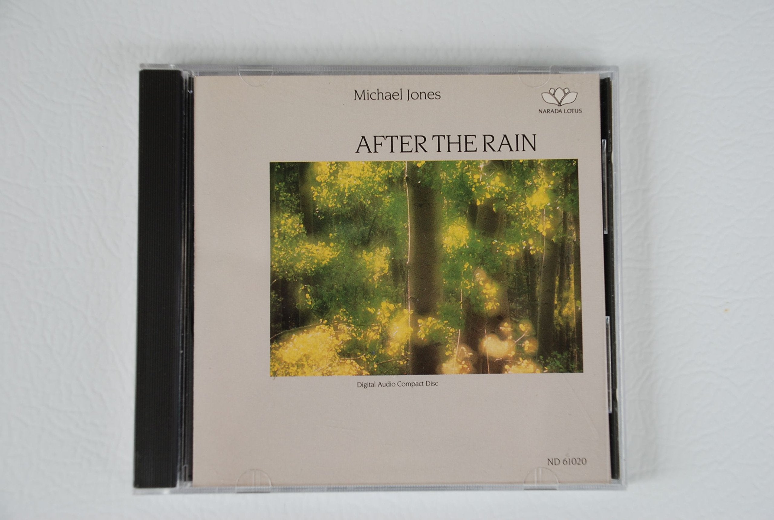 After the Rain Music